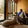 Pet-Friendly Vacation Rentals In Manzanita Near Beaches & Nature Trails