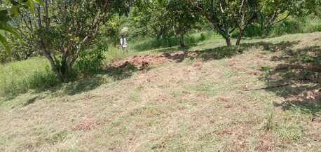 Chennai, Jobs, Farming Couple