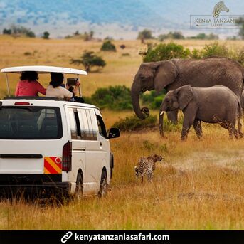 San Francisco, Travel, Unforgettable Tanzania And Zanzibar Holidays: A Perfect African Escape
