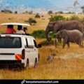 Unforgettable Tanzania And Zanzibar Holidays: A Perfect African Escape