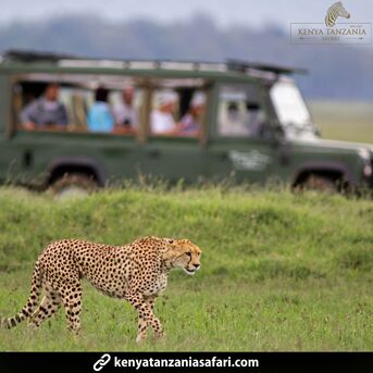San Francisco, Travel, Unforgettable Tanzania And Zanzibar Holidays: A Perfect African Escape