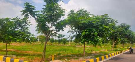Hyderabad, Residential Plots, INR 13000,  210 Sq. Yard,  DTCP Open Plots Sale In Nandiwanaparthy Yacharam Sagar Highway ORR 12@7093874335