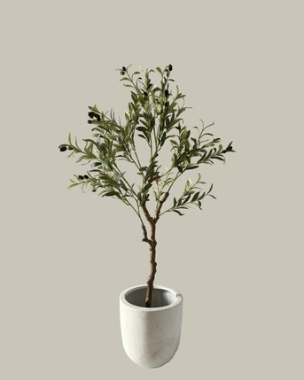 Sydney, Business, Faux Fidle Leaf Fig Tree