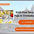 Kulik Kaal Sarp Dosh Puja In Trimbakeshwar