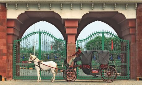 Noida, Household, Premium Gate Manufacturers For Stylish And Secure Entrances