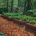 Quality Lawn Care Burke VA Services