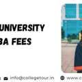 Shoolini University Online Bba Fees