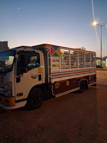 Riyadh, Labor/Moving, ALL RIYADH MOVERS PACKERS CLEANERS AND PEST CONTROLTOTAL SOLUTION BEST PRICE