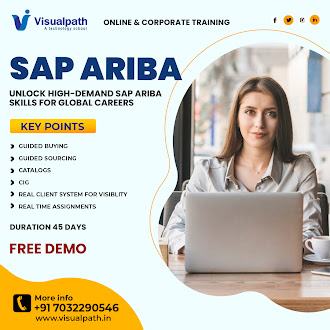 Hyderabad, Lessons Offered, SAP Ariba Online Training With Expert Trainer Support