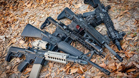 Los Angeles, Collectibles, Best Assault Rifle Guide: Top Picks For Performance 2026