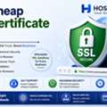 Buy Cheap SSL Certificate India