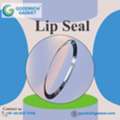 Top Lip Seal For Industrial Protection
