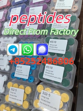 Miami, Health & Beauty Items, USD 15,  Hot Sale Freeze-Dried Peptide Peptides Semaglutide Powder CAS 910463-68-2