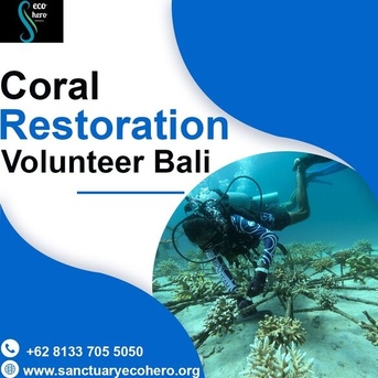 Bali, Training, Coral Restoration Volunteer Bali