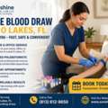 Mobile Blood Draw In Land O Lakes, FL | We Come To You