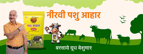 Jaipur, Food, Discover Neervi Pashuahar In Rajasthan