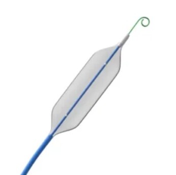 New York, Medical, Peripheral Vascular Balloon Catheters Guide