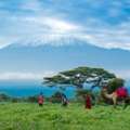 Tanzania 2026 Trip Details, Safari Booking Tips And Deals