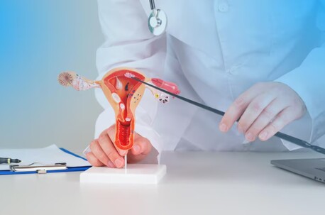 Mumbai, Health, Best Hysteroscopy Treatment In Bhagalpur For Women&rsquo;s Care