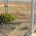 Top Supplier Of Wire Mesh And Fencing Products In UAE For Industrial And Commercial Needs