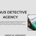 Leading Copyright & Trademark Protection Detective Venus Detective Services