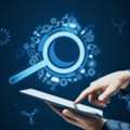 Hire SEO Experts In Sydney For Consistent Results | Digipie