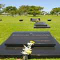 Affordable Cremation Services Available Near You