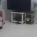 SAR 750,  Shofa, TV,