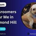 Pet Groomers Near Me In Richmond Hill | Expert Services By Petgroom