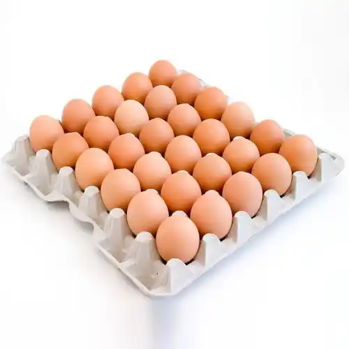 London, Wholesale Products, Fresh Table Eggs Supply &ndash; Global Delivery Available