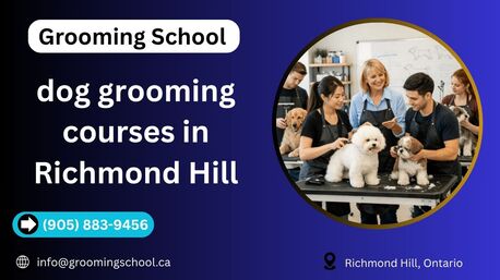 New York, Beautician, Dog Grooming Courses In Richmond Hill | Grooming School Training Program