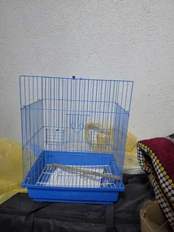 Riyadh, Pet Supplies, SAR 500,  2 Cockatiel Parrots (pair) With 2 Cages