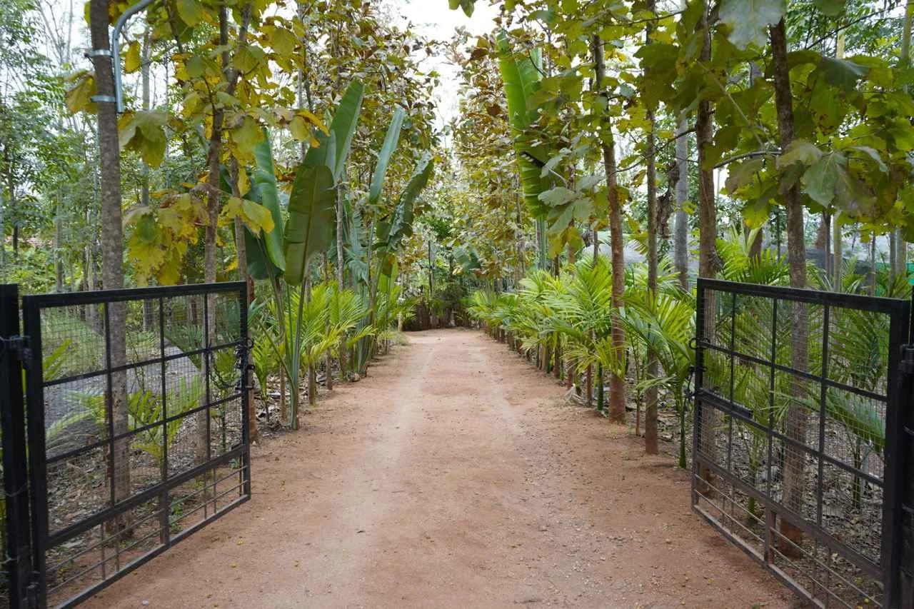 Bangalore, Real Estate, Farm Stay Pricing In Bangalore: Cost Guide For Budget To Luxury Stays