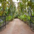 Farm Stay Pricing In Bangalore: Cost Guide For Budget To Luxury Stays