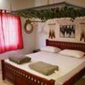 Best Pet Friendly Farm Stay Near Bangalore For A Perfect Getaway With Pets