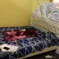 SAR 1000/month,  0 Sq. Meter,  Furnished Room