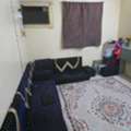 SAR 900/month,  Furnished,  SAR 900/month, Single Room Available In Fully Furnished 2BHK For Executive Bachelor