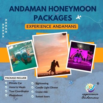 Mumbai, Travel, Scuba Diving In Andaman: Complete Guide To The Best Diving Experience In India