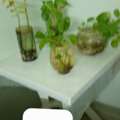 SAR 700,  House Hold Items AC Fridge Sofa For Sale