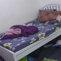 SAR 500/year,  Bed Space Available