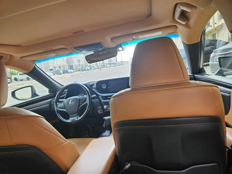 Olaya, Passenger Transport, Driver Available