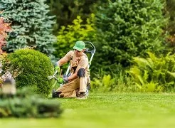 Calgary, Business, Upgrade Your Yard With Professional Lawn Care Services Today