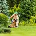 Upgrade Your Yard With Professional Lawn Care Services Today