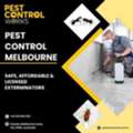 Termite Control Melbourne | Inspections & Treatment