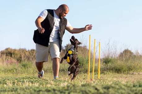 Mumbai, Pet Sitting, Dog Trainer In Srinagar JK