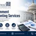 Specialized Government Accounting Services For Compliance