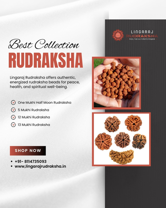 Kolkata, Health & Beauty Items, Best Rudraksha Shop In Berhampur