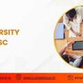 Vit University Online Msc Ranking