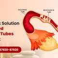 Ayurvedic Solution For Blocked Fallopian Tubes In Sonipat