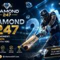 Why Cricket Fans Prefer Diamond 247